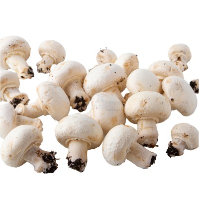 Шампиньоны свежие 500 г - купить в Яметкино